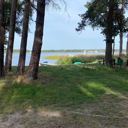 Apartament Wiewiorka Radzyn Экстерьер фото