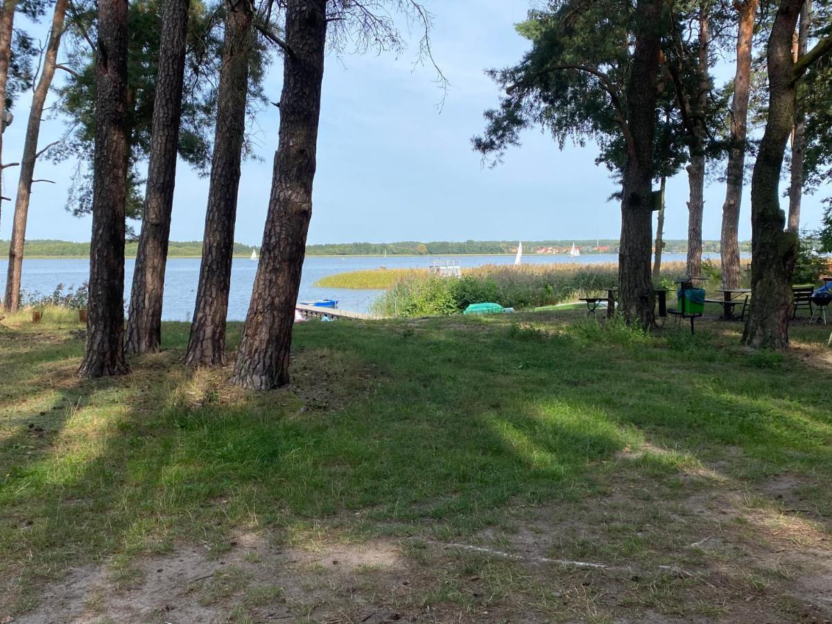 Apartament Wiewiorka Radzyn Экстерьер фото